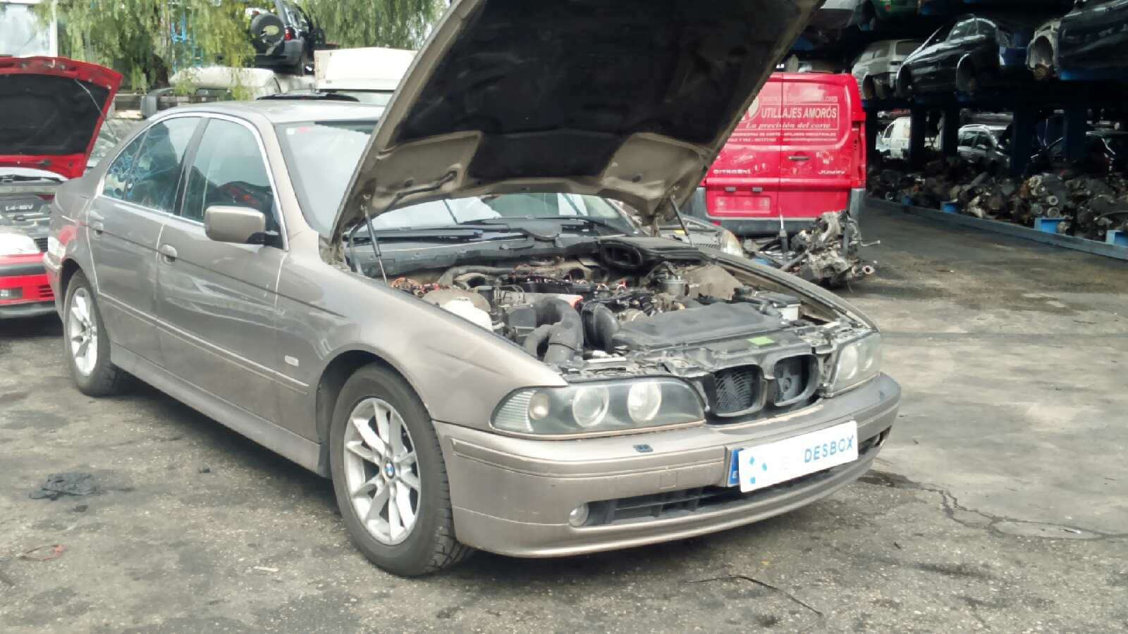Vista 6