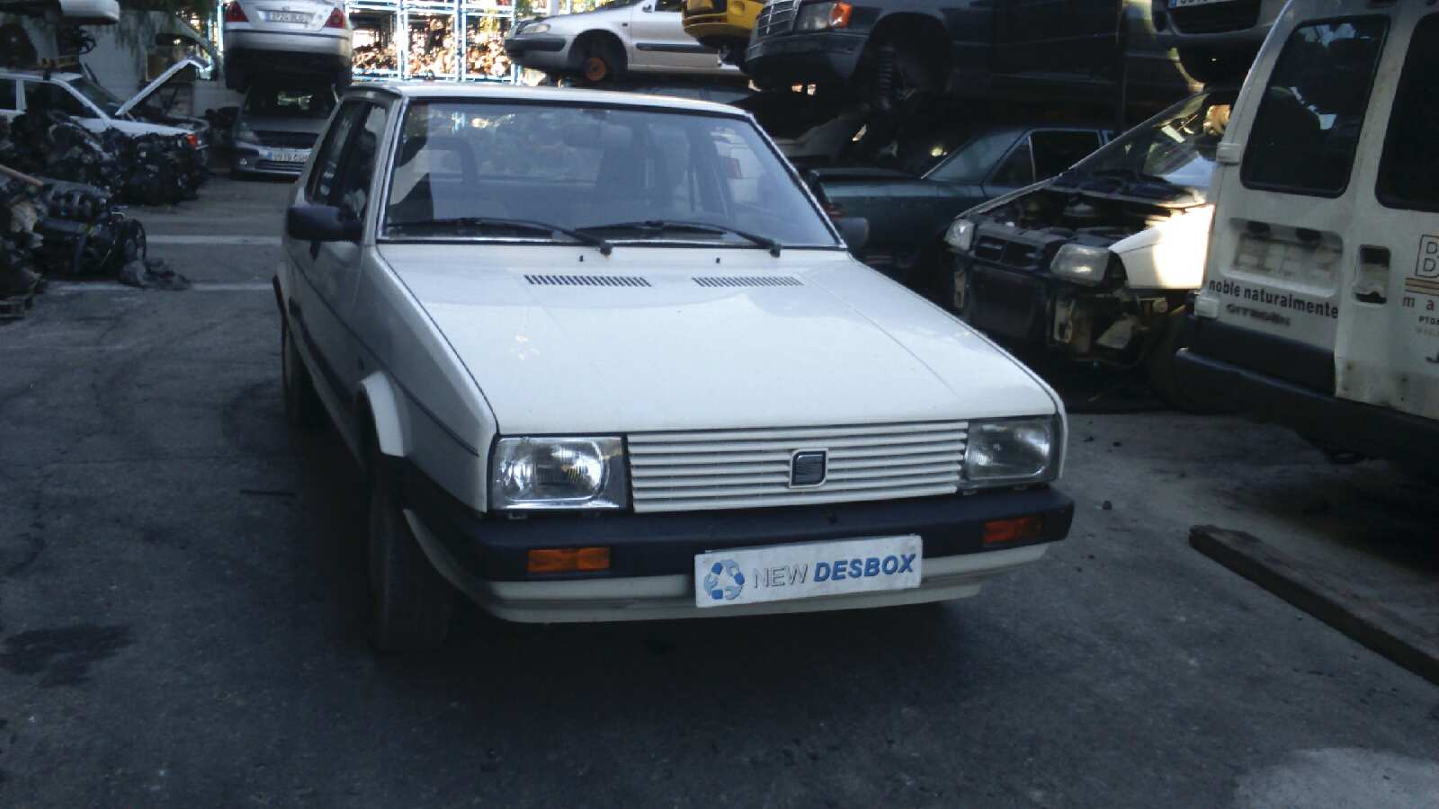 Vista 3