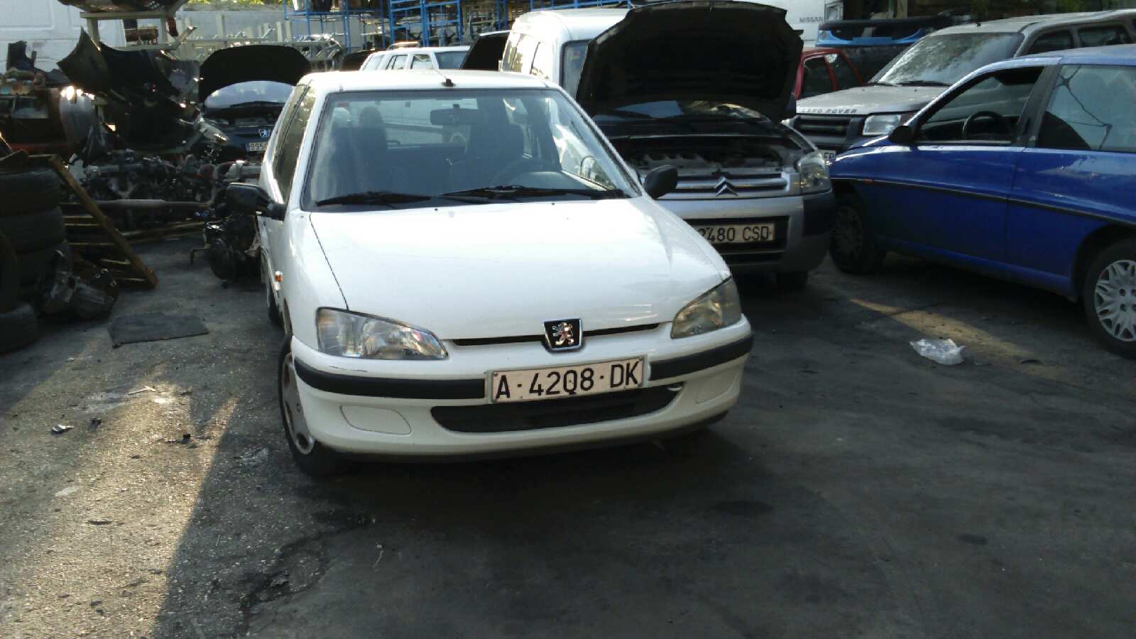 Vista 6
