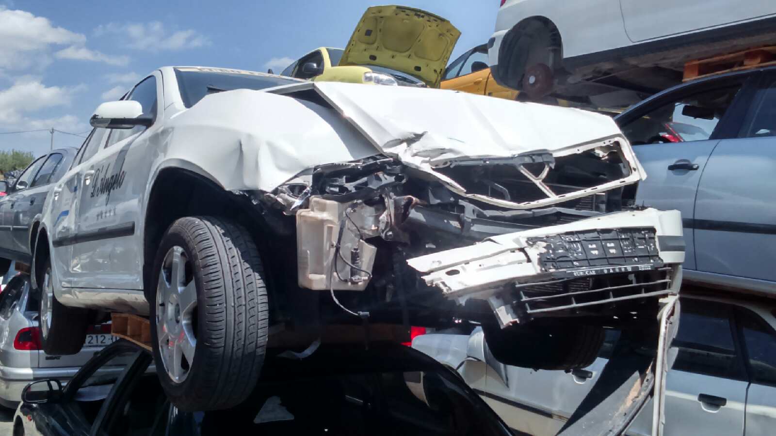 Vista 5
