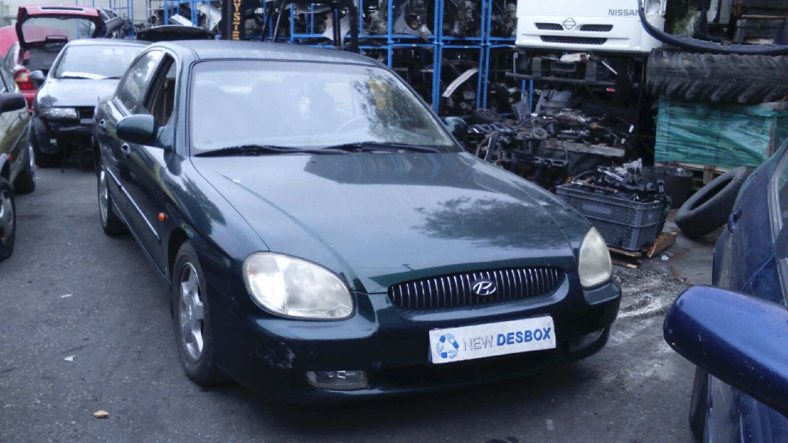 Vista 5