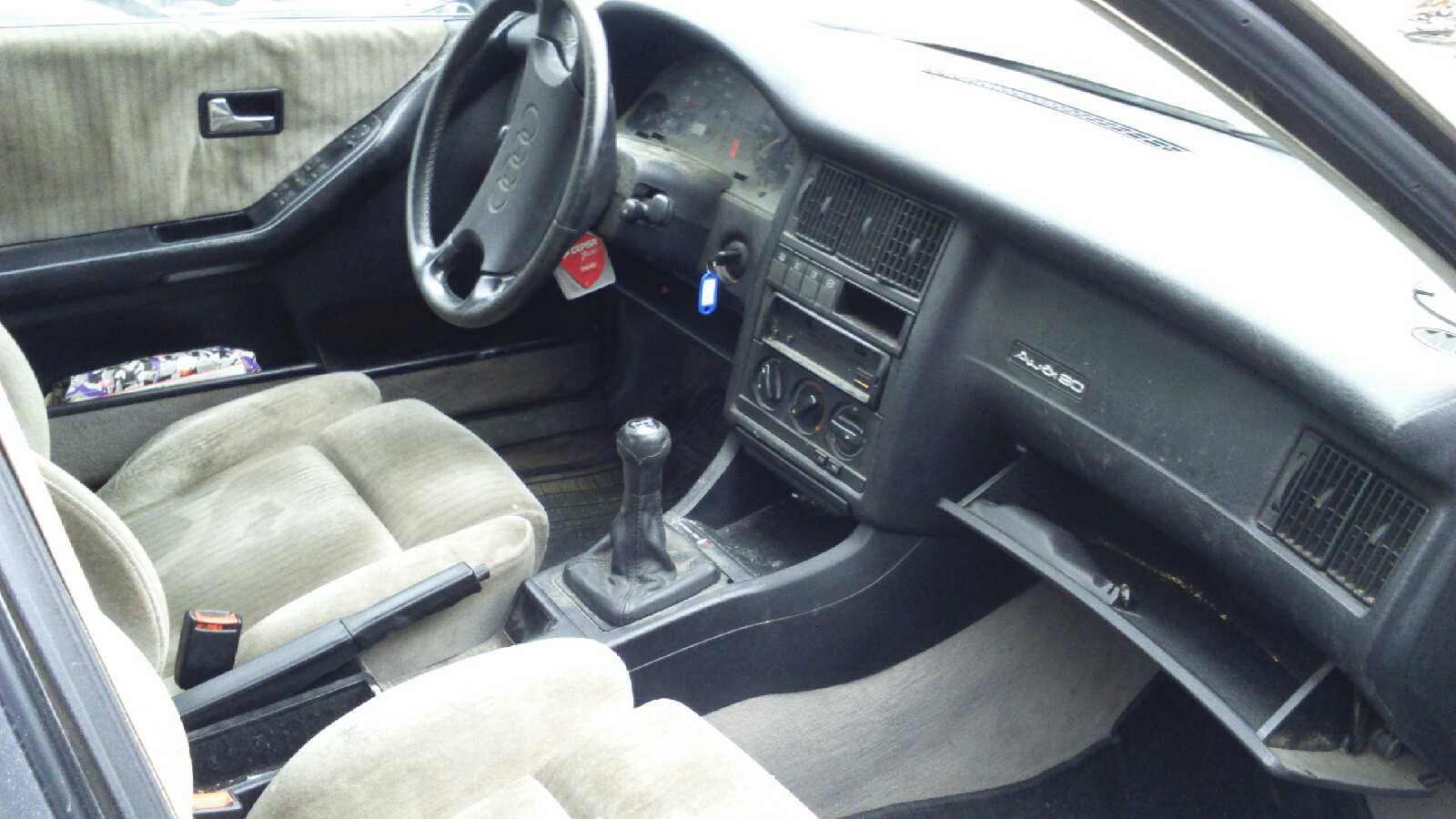 Vista 5
