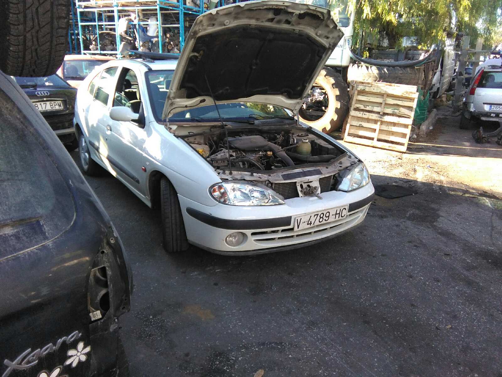 Vista 5
