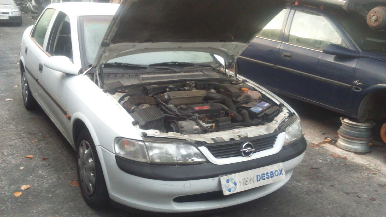 PILOTO TRASERO IZQUIERDO OPEL VECTRA B BERLINA - vista 5