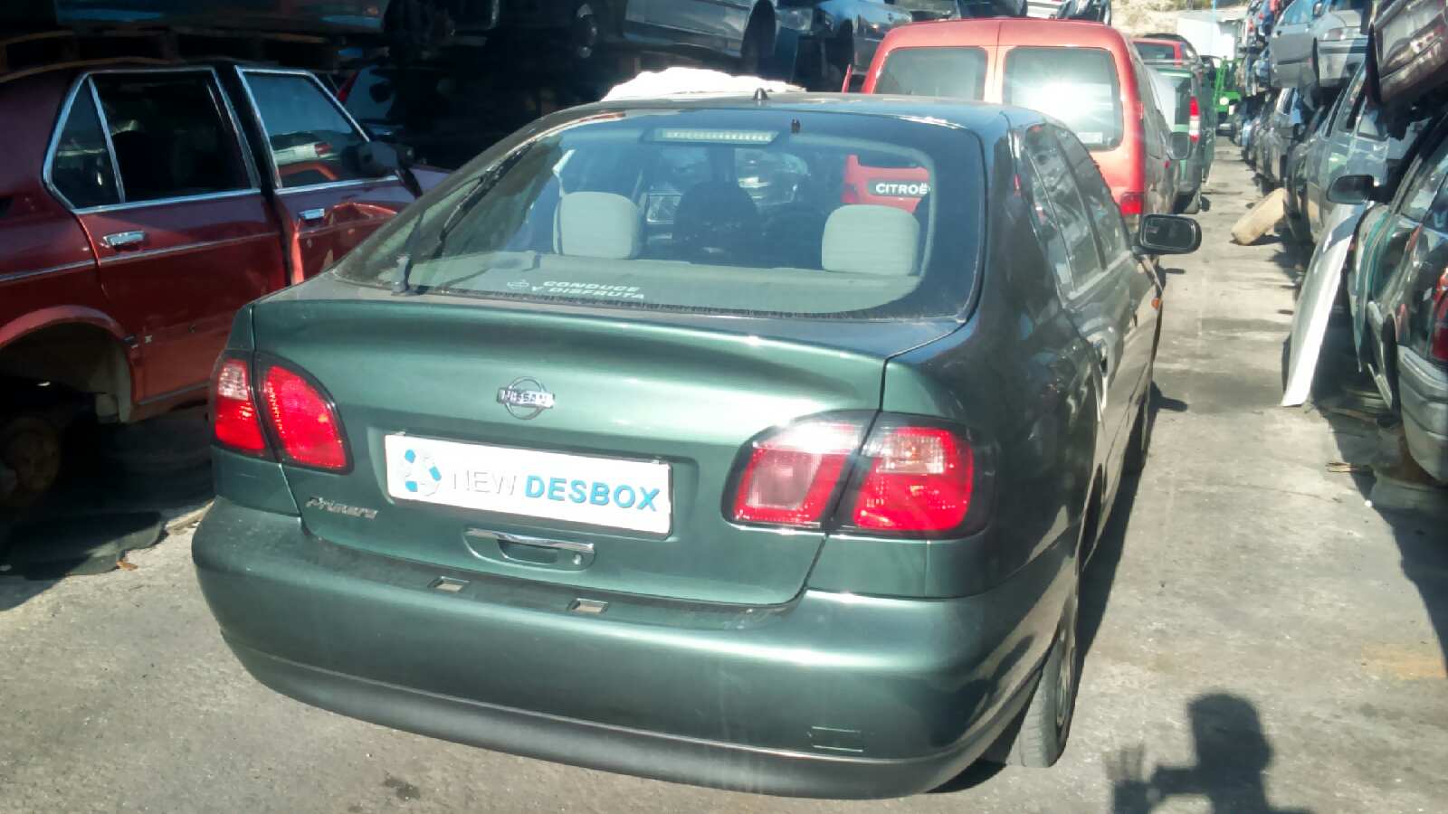 Vista 6