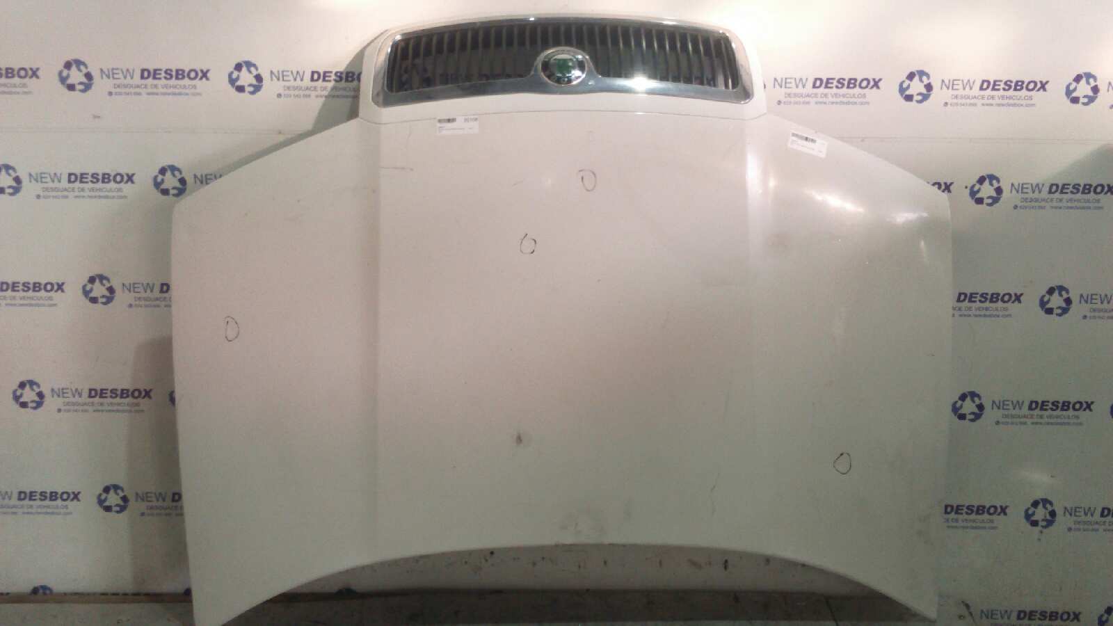 CAPO SKODA FABIA (6Y2/6Y3)