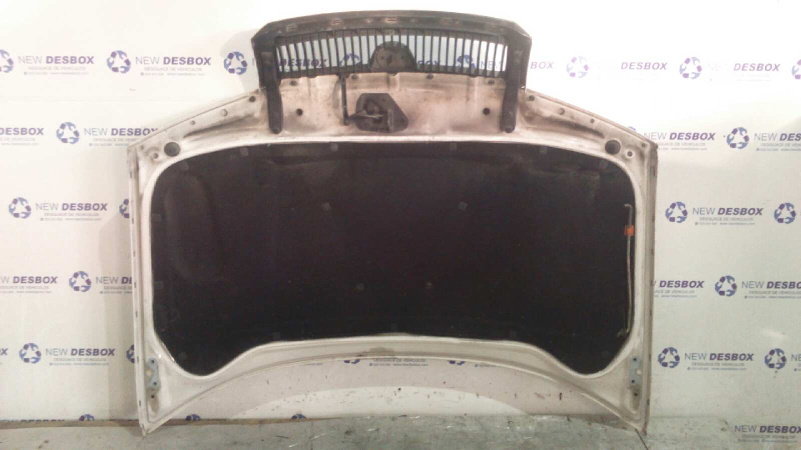 CAPO SKODA FABIA (6Y2/6Y3) - vista 2