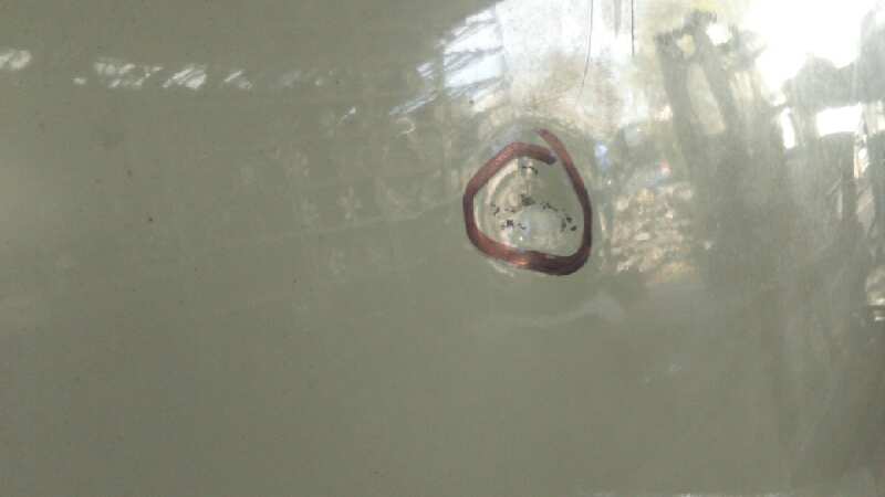 CAPO VOLKSWAGEN T5 TRANSPORTER/FURGONETA 1.9 TDI CAT (AXC) - vista 2