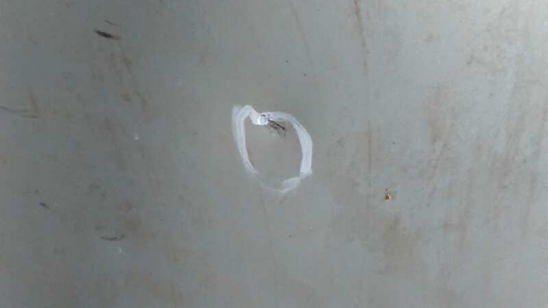 CAPO MERCEDES CLASE C (W202) - vista 2