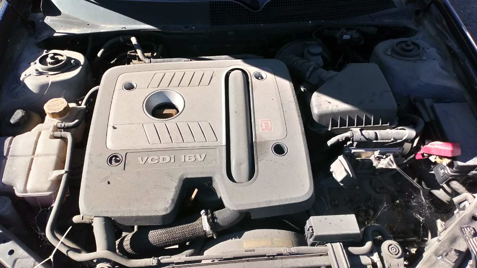 Vista 13
