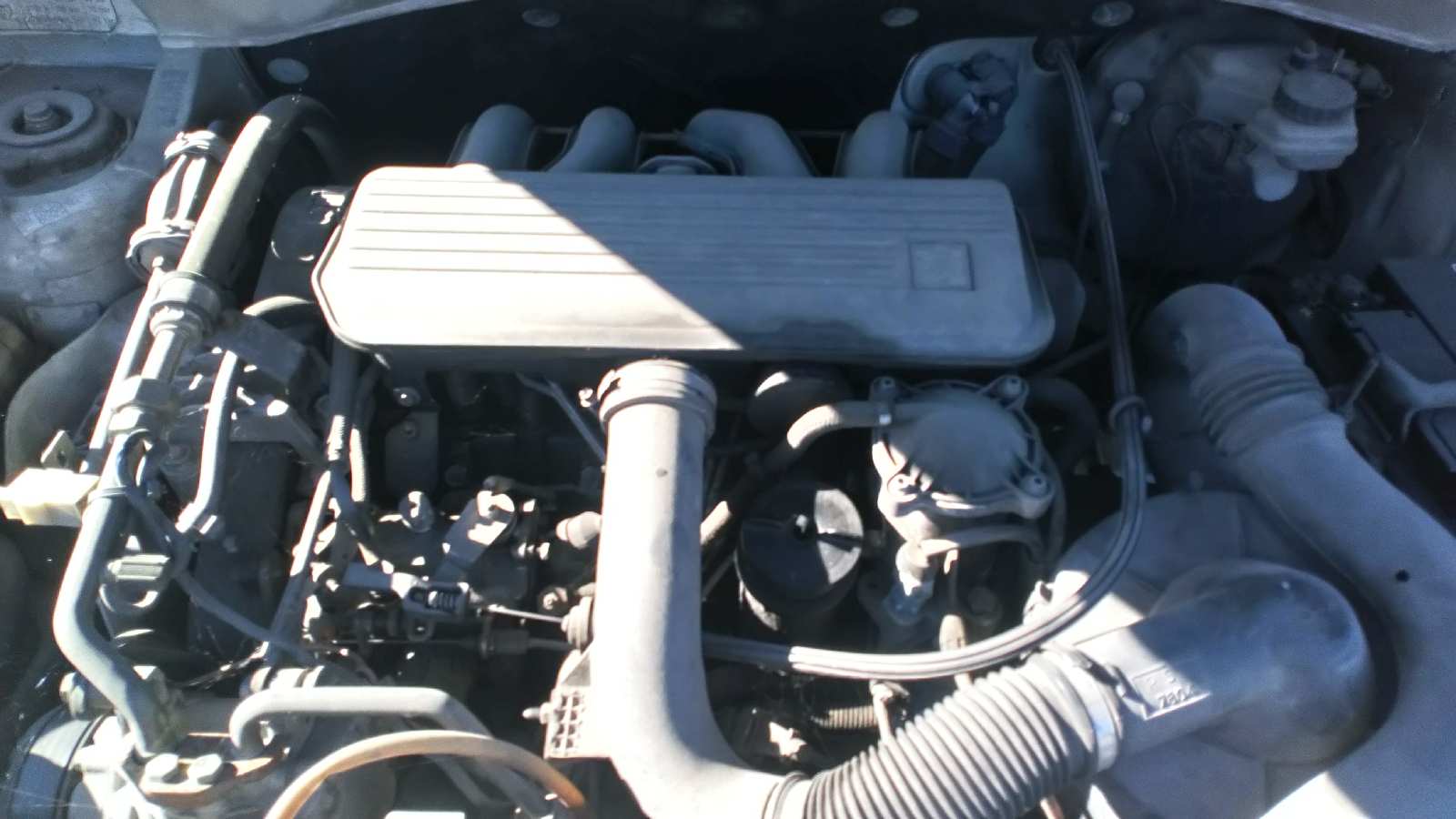 Vista 13
