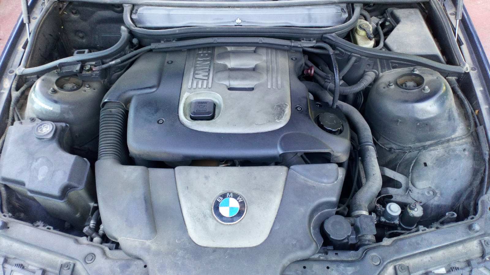 Vista 13