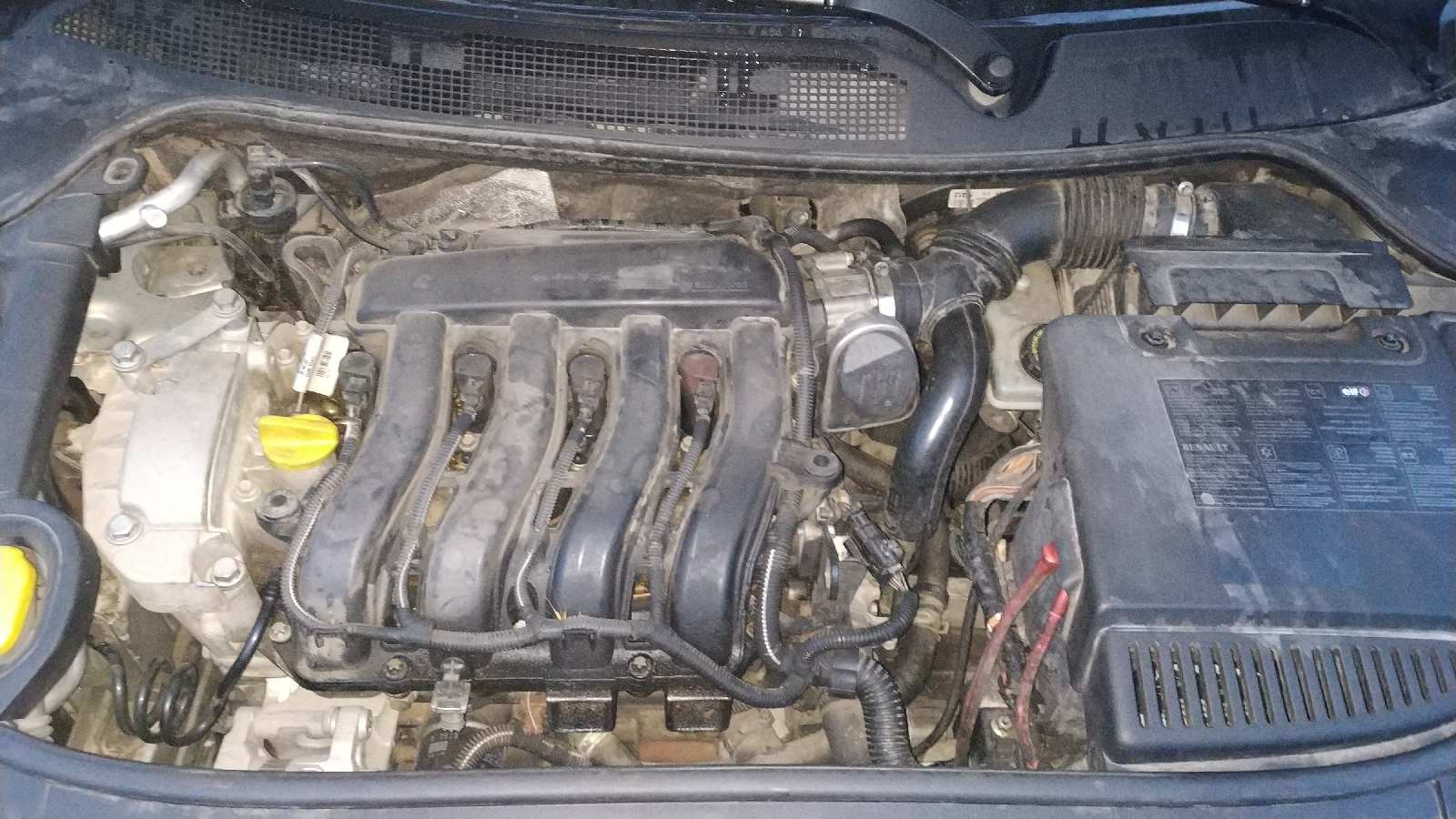 Vista 12