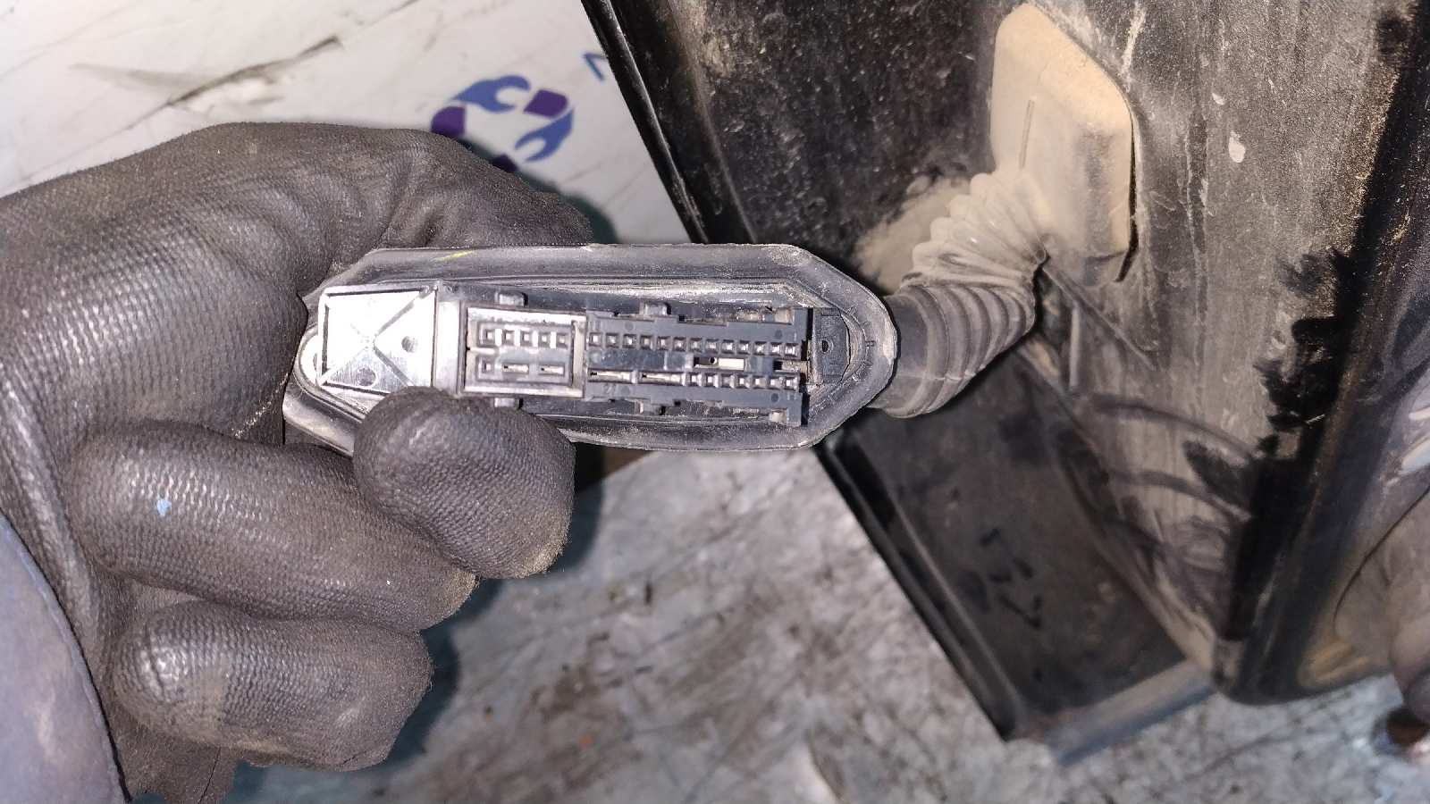 PUERTA TRASERA DERECHA BMW X5 (E53) - vista 8