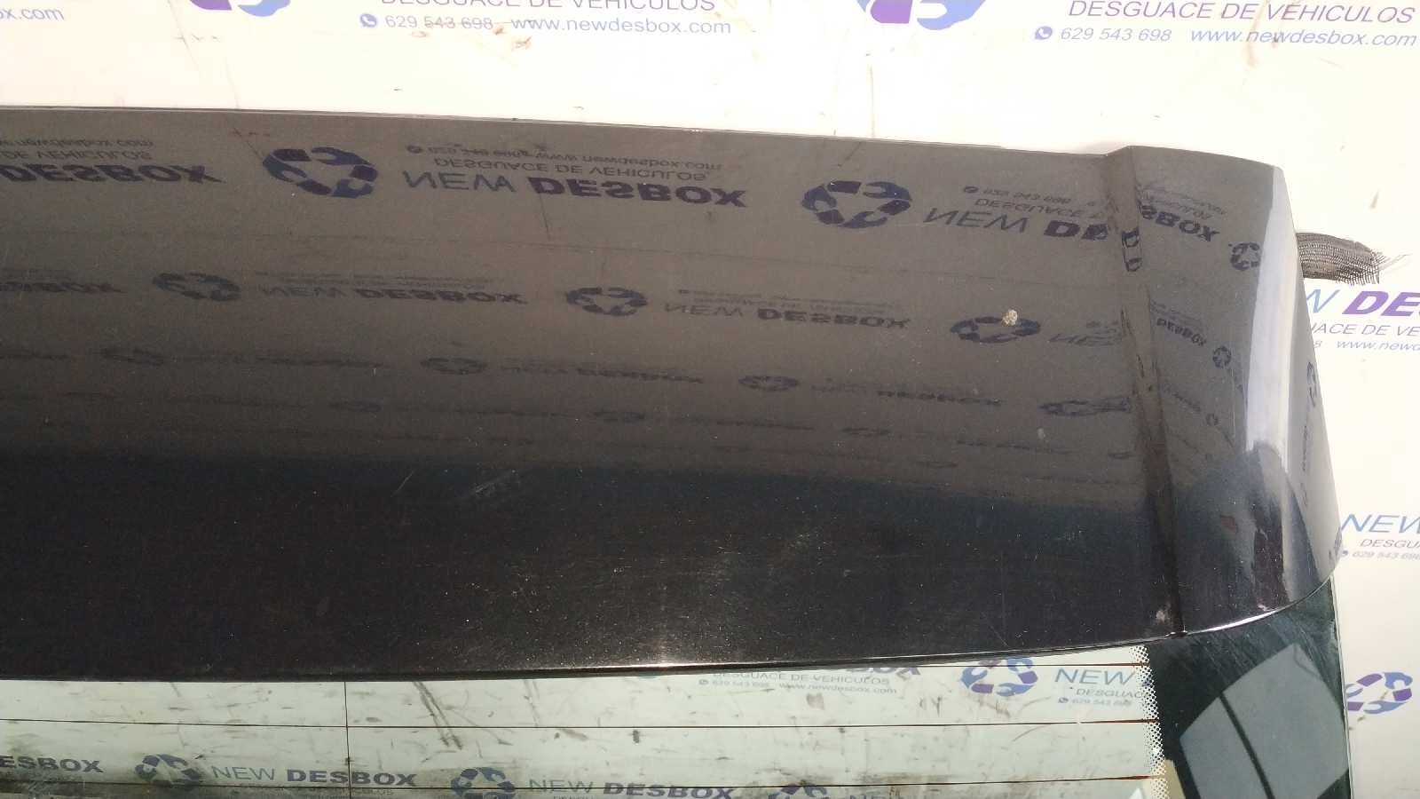 PORTON TRASERO BMW X5 (E53) - vista 3