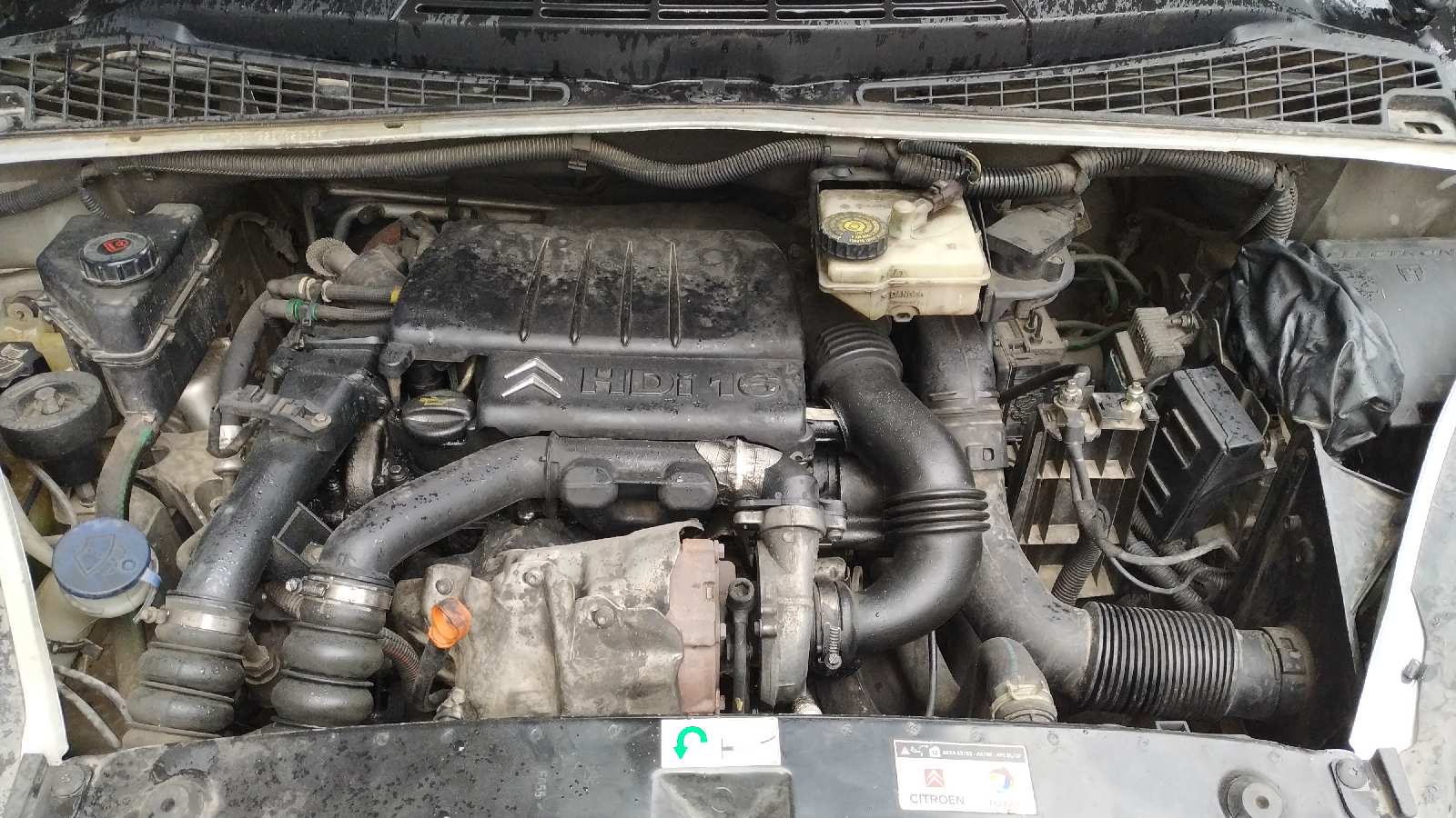 Vista 11