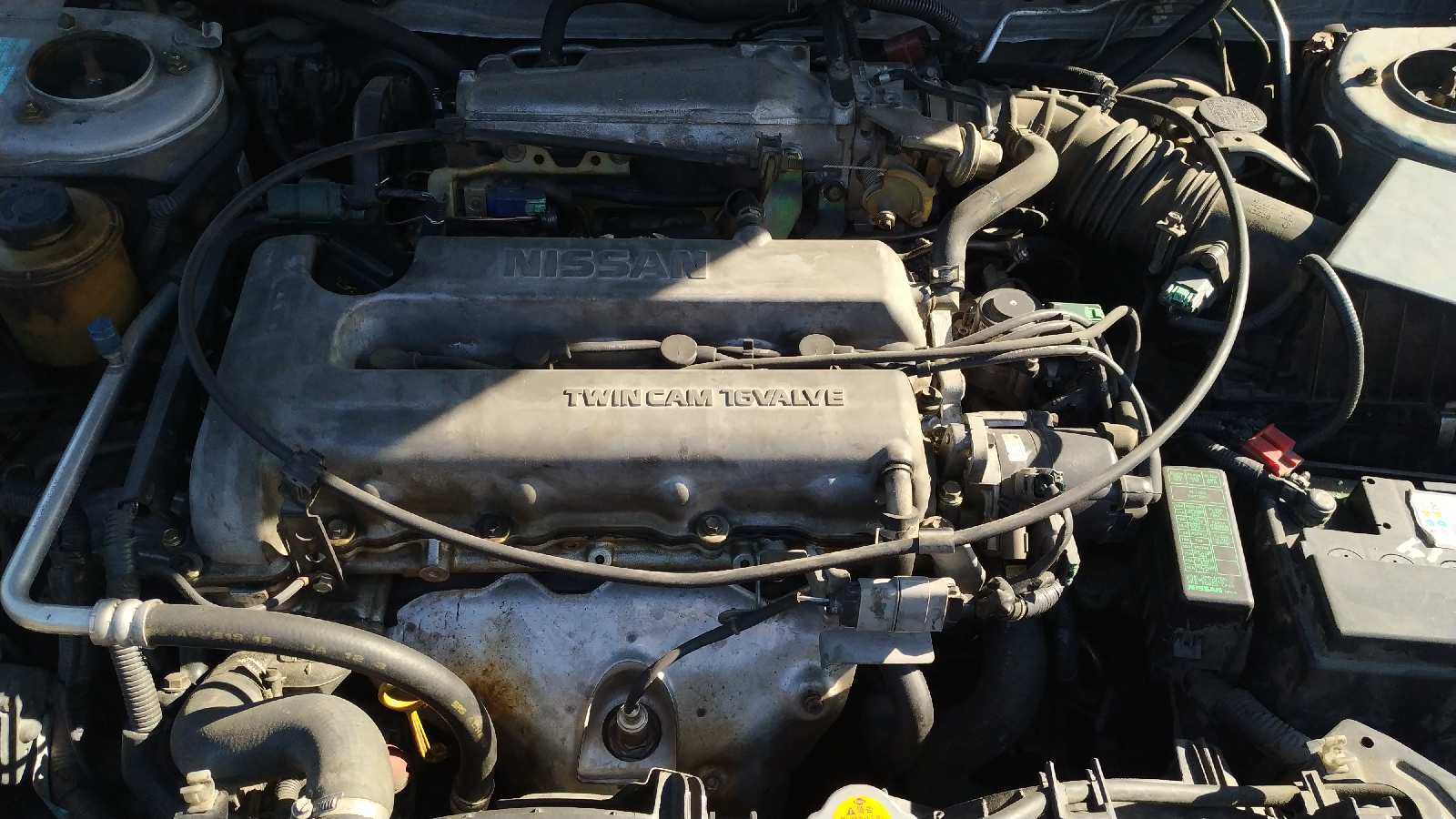 Vista 13
