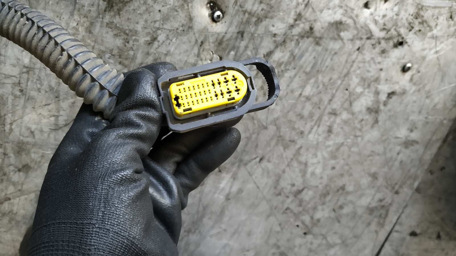 PUERTA TRASERA DERECHA RENAULT CLIO III - vista 3