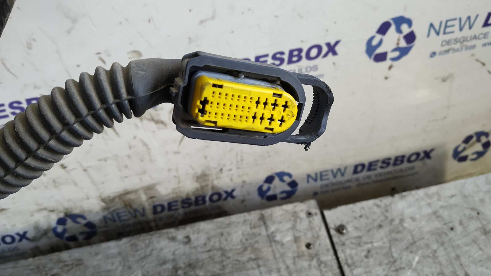 PUERTA TRASERA IZQUIERDA RENAULT CLIO III - vista 5