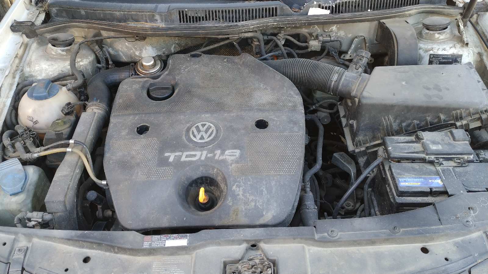 Vista 5