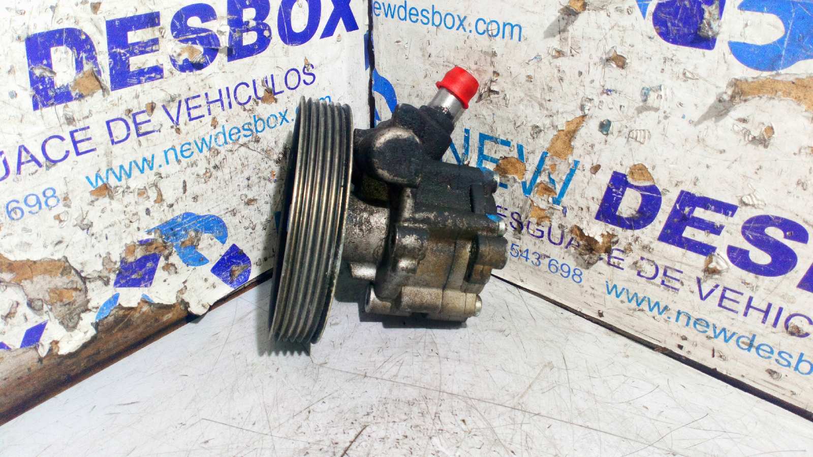 BOMBA DIRECCION FIAT SCUDO FURGÓN (272)