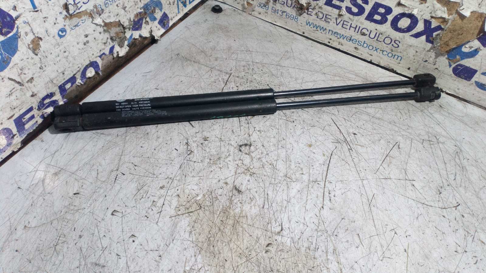 AMORTIGUADORES MALETERO / PORTON FIAT DOBLO (119)