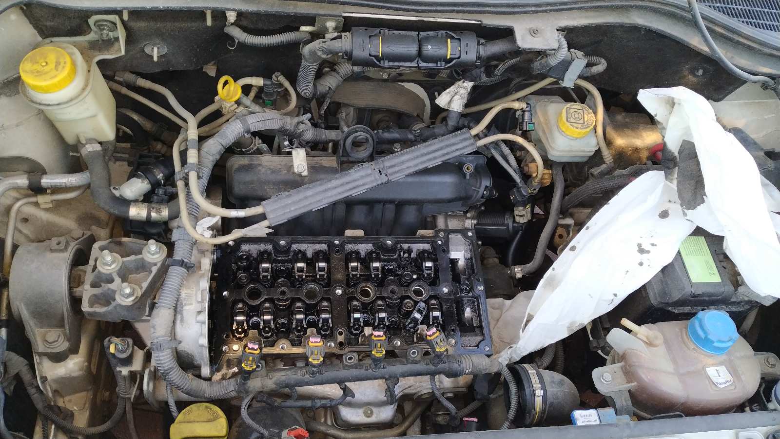 Vista 12