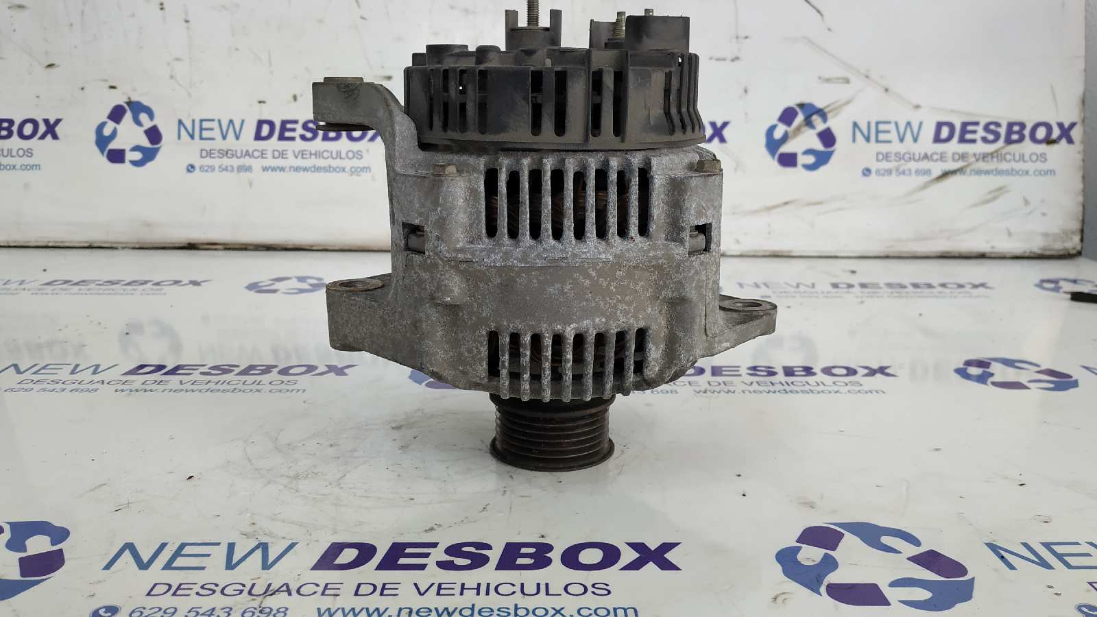 ALTERNADOR RENAULT 19 HATCHBACK (B/C53) - vista 6