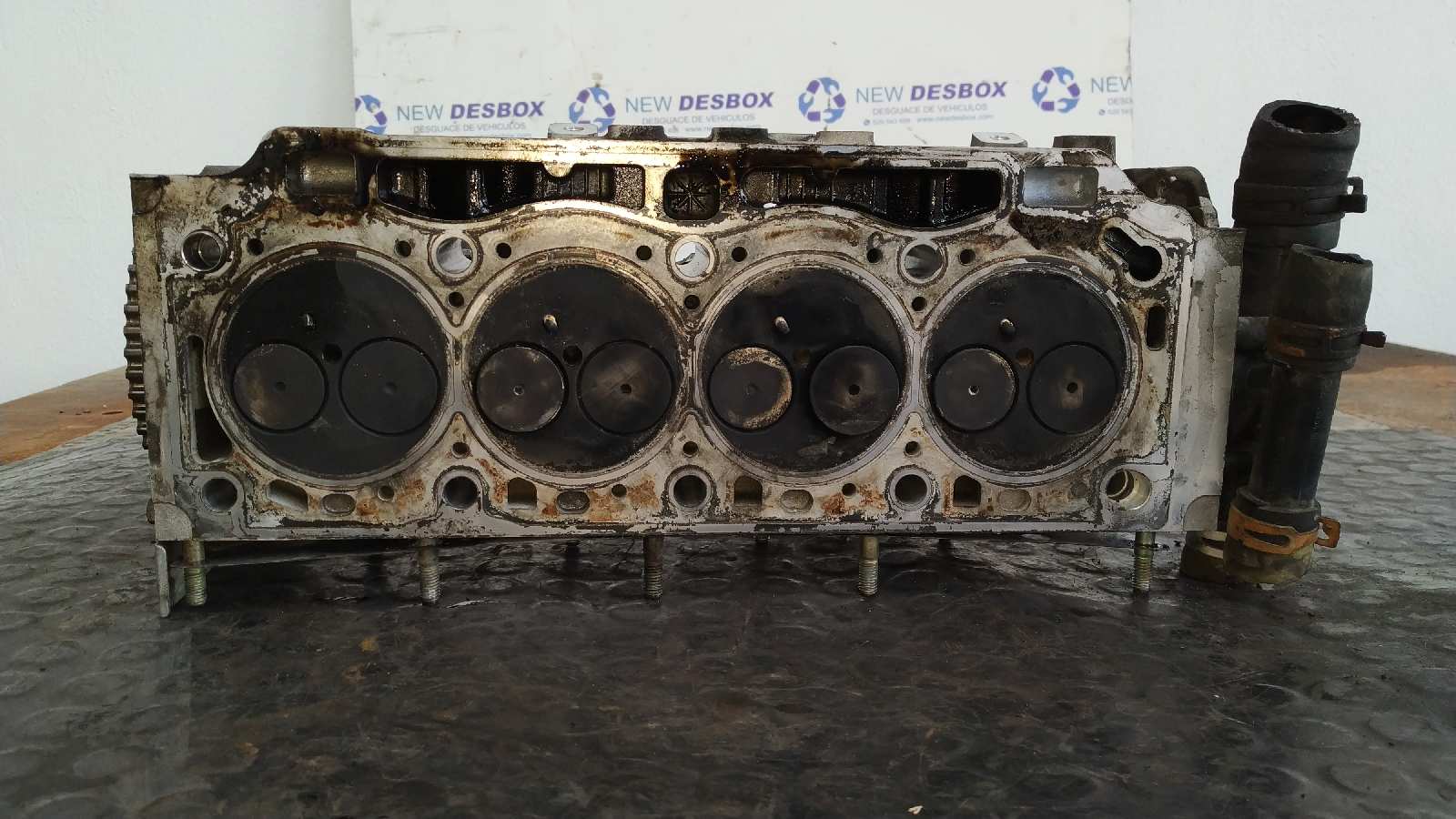 CULATA RENAULT SCENIC II - vista 4