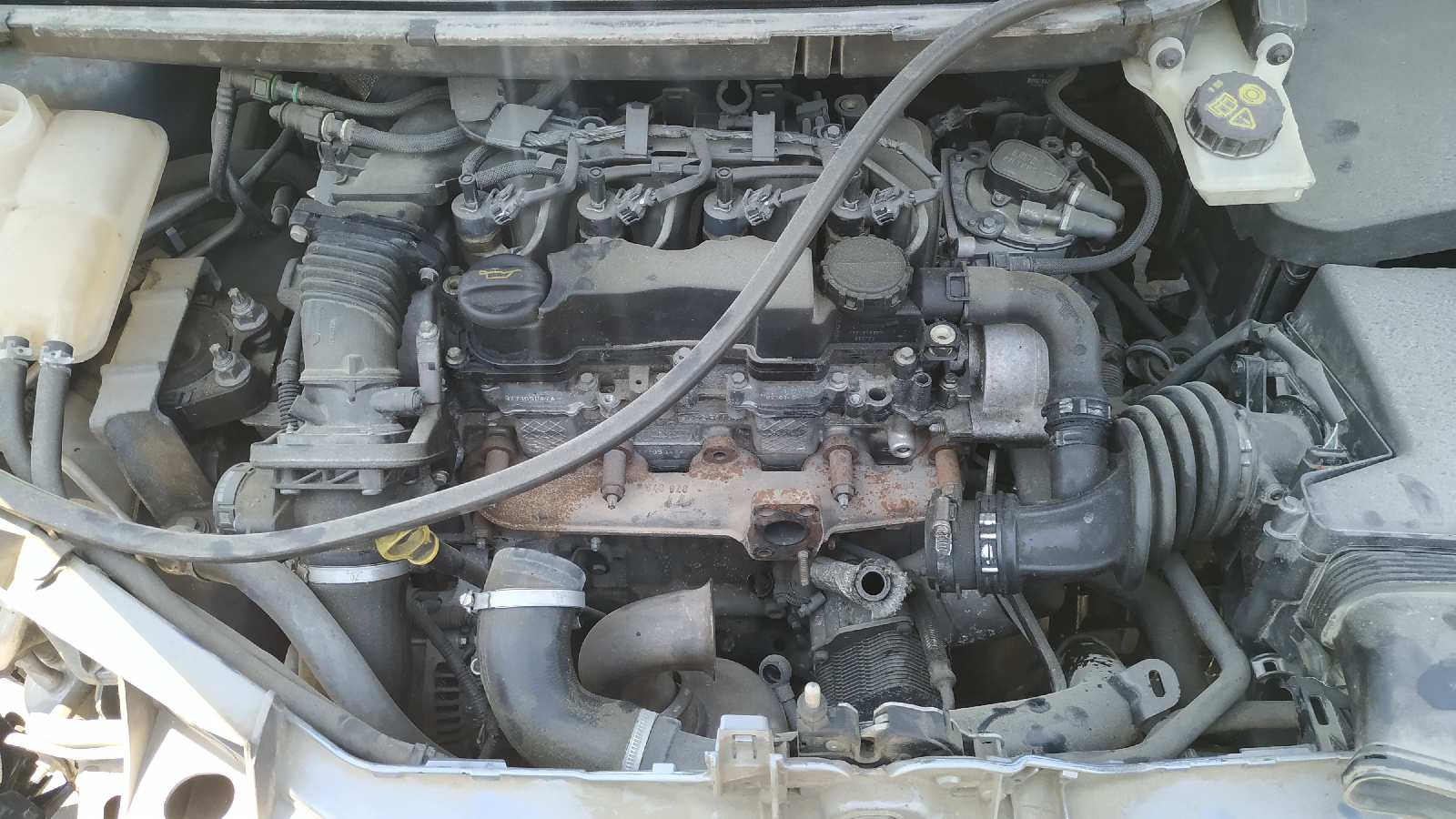 Vista 11