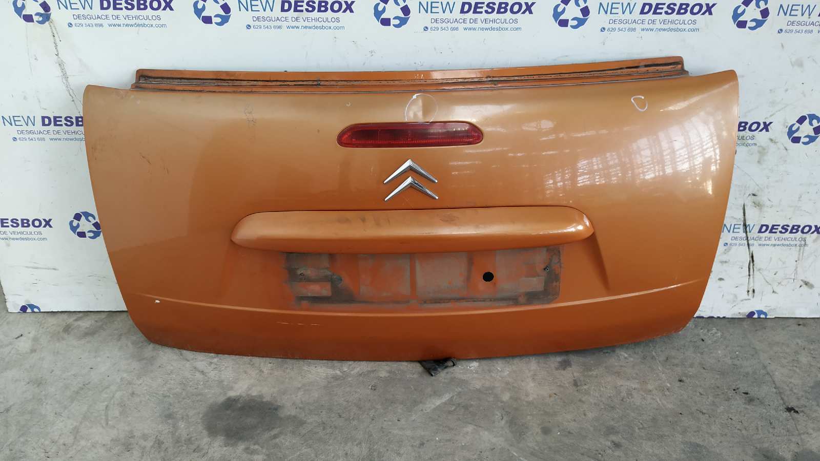 PORTON TRASERO CITROEN C3 PLURIEL