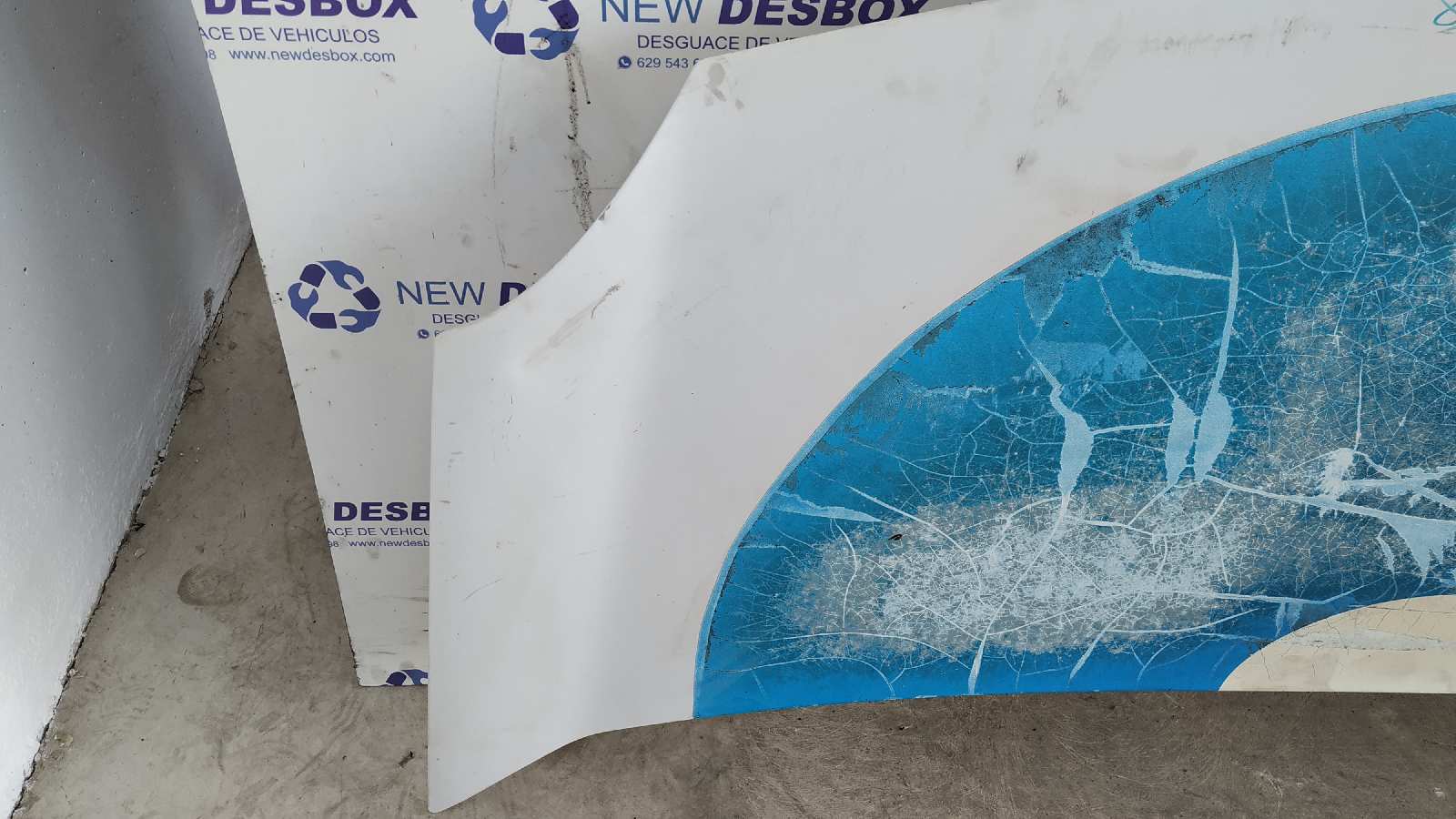 CAPO RENAULT KANGOO - vista 4