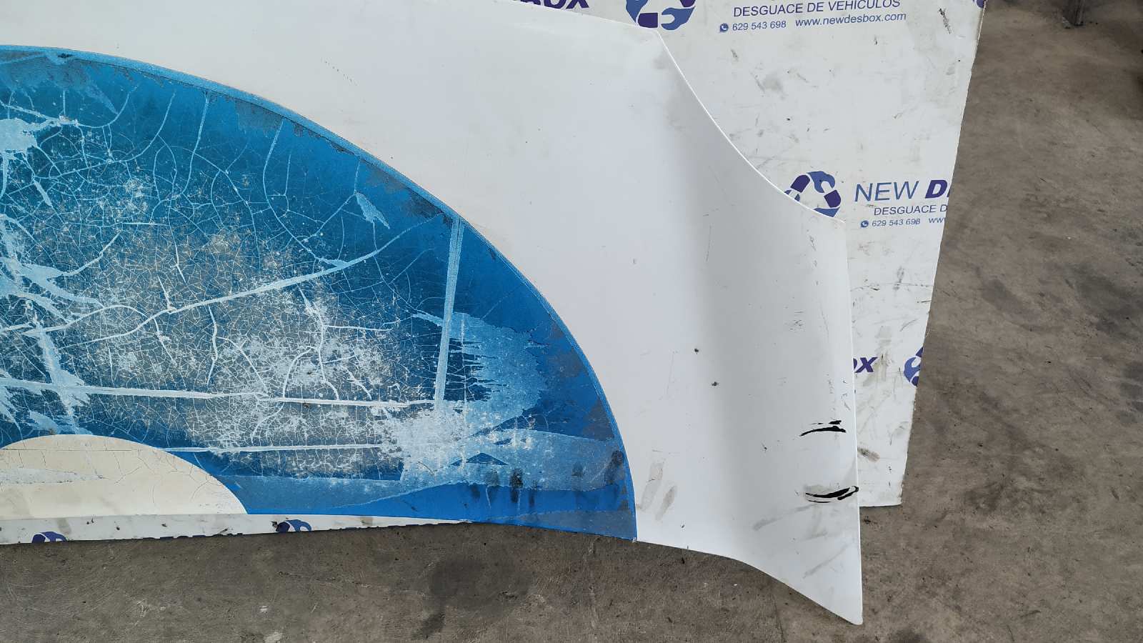 CAPO RENAULT KANGOO - vista 5