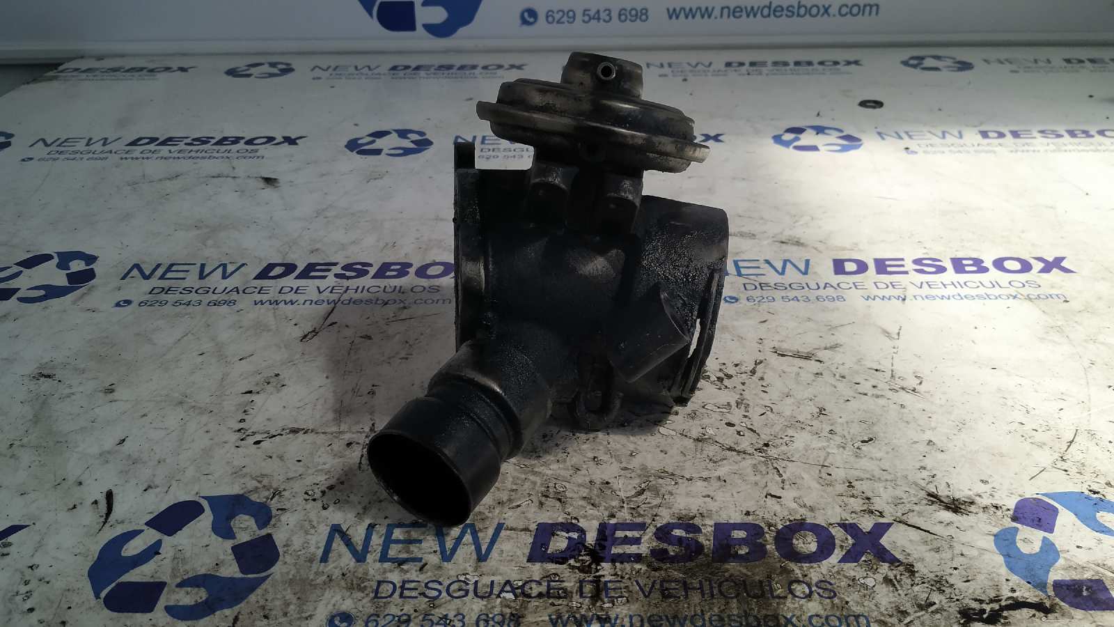 VALVULA EGR MERCEDES-BENZ CLASE M (W163)