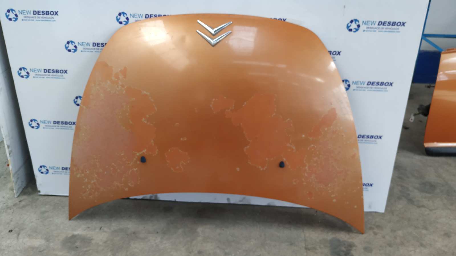 CAPO CITROEN C3 PLURIEL