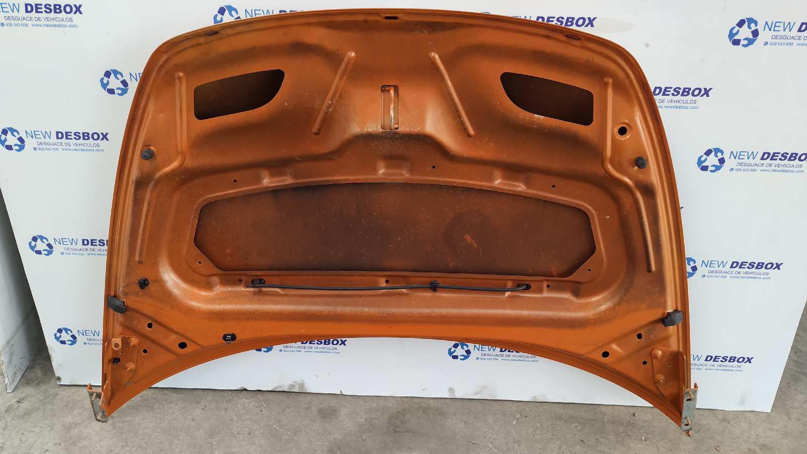 CAPO CITROEN C3 PLURIEL - vista 4