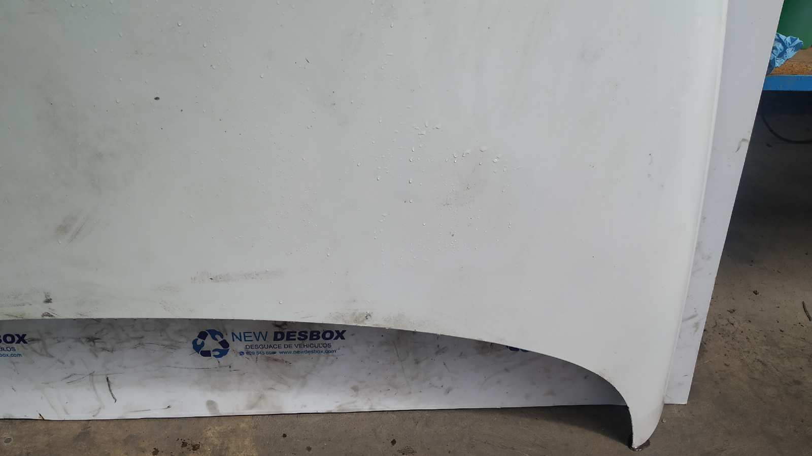 CAPO RENAULT LAGUNA (B56) - vista 6