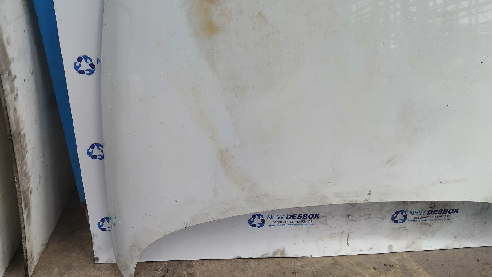 CAPO RENAULT LAGUNA (B56) - vista 8