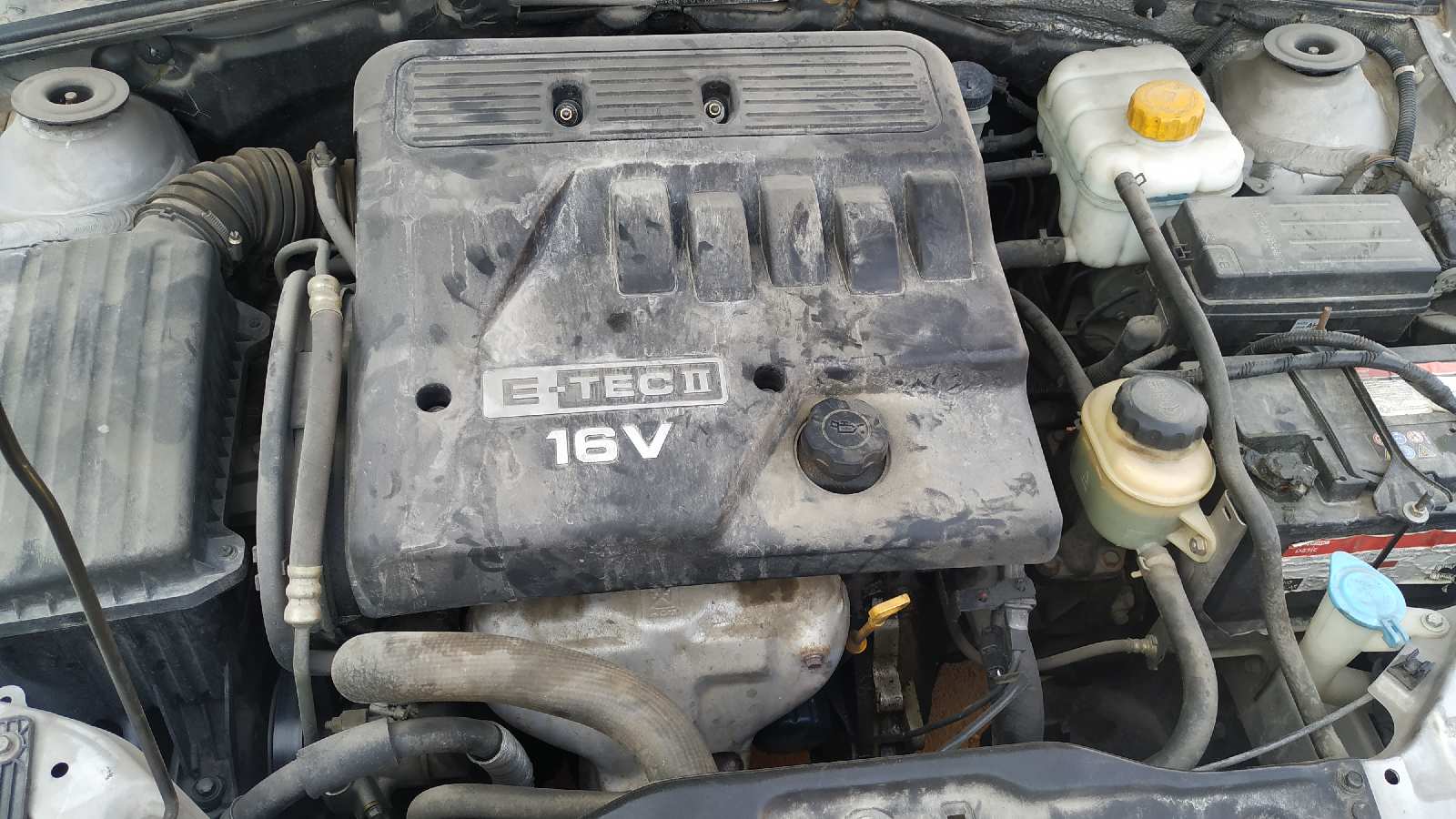 Vista 13