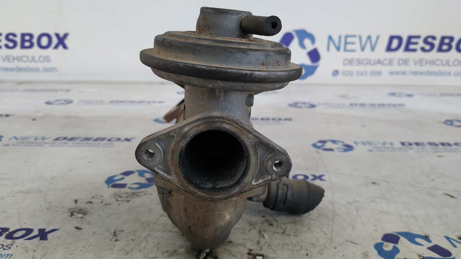 VALVULA EGR FORD MONDEO BERLINA (GE) - vista 3