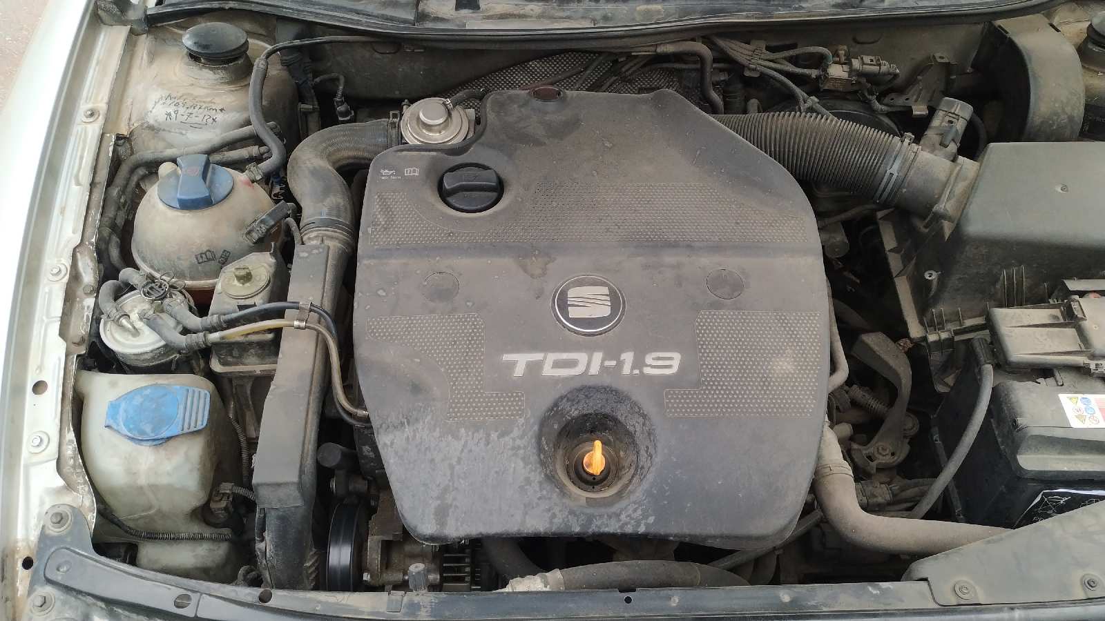 Vista 5