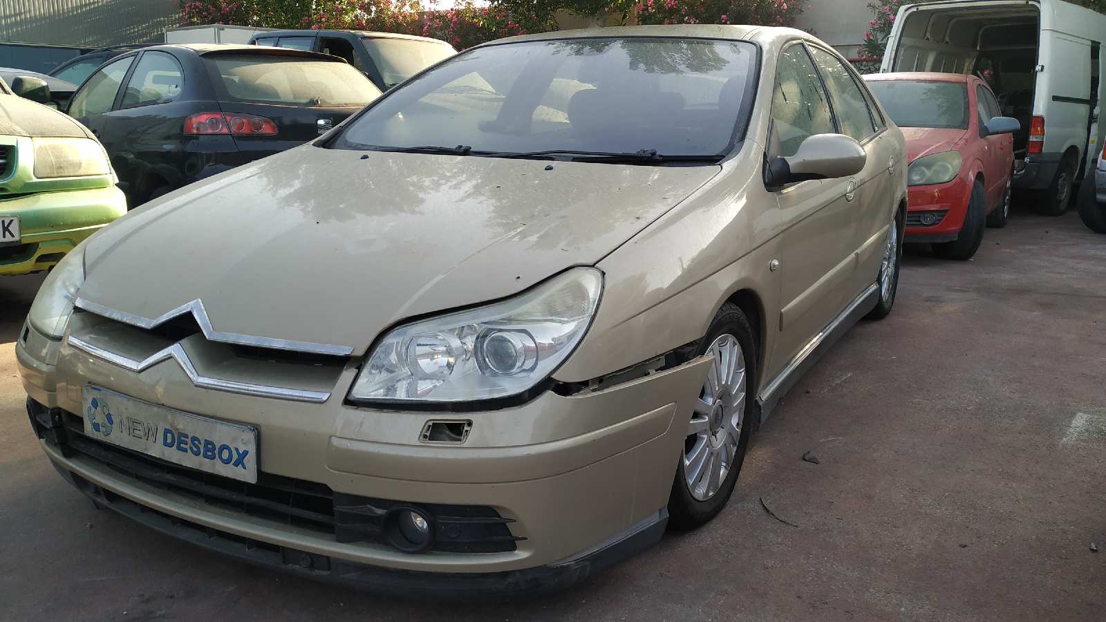 Vista 11