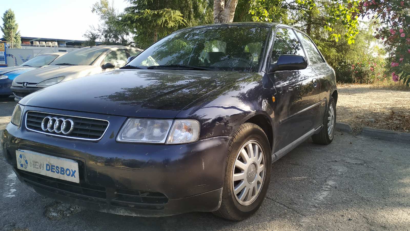 Vista 11