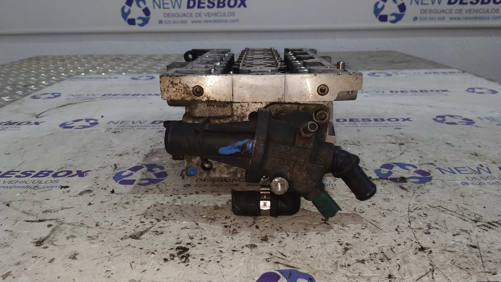 CULATA OPEL CORSA C 1.3 16V CDTI CAT (Z 13 DT / LN9) - vista 4