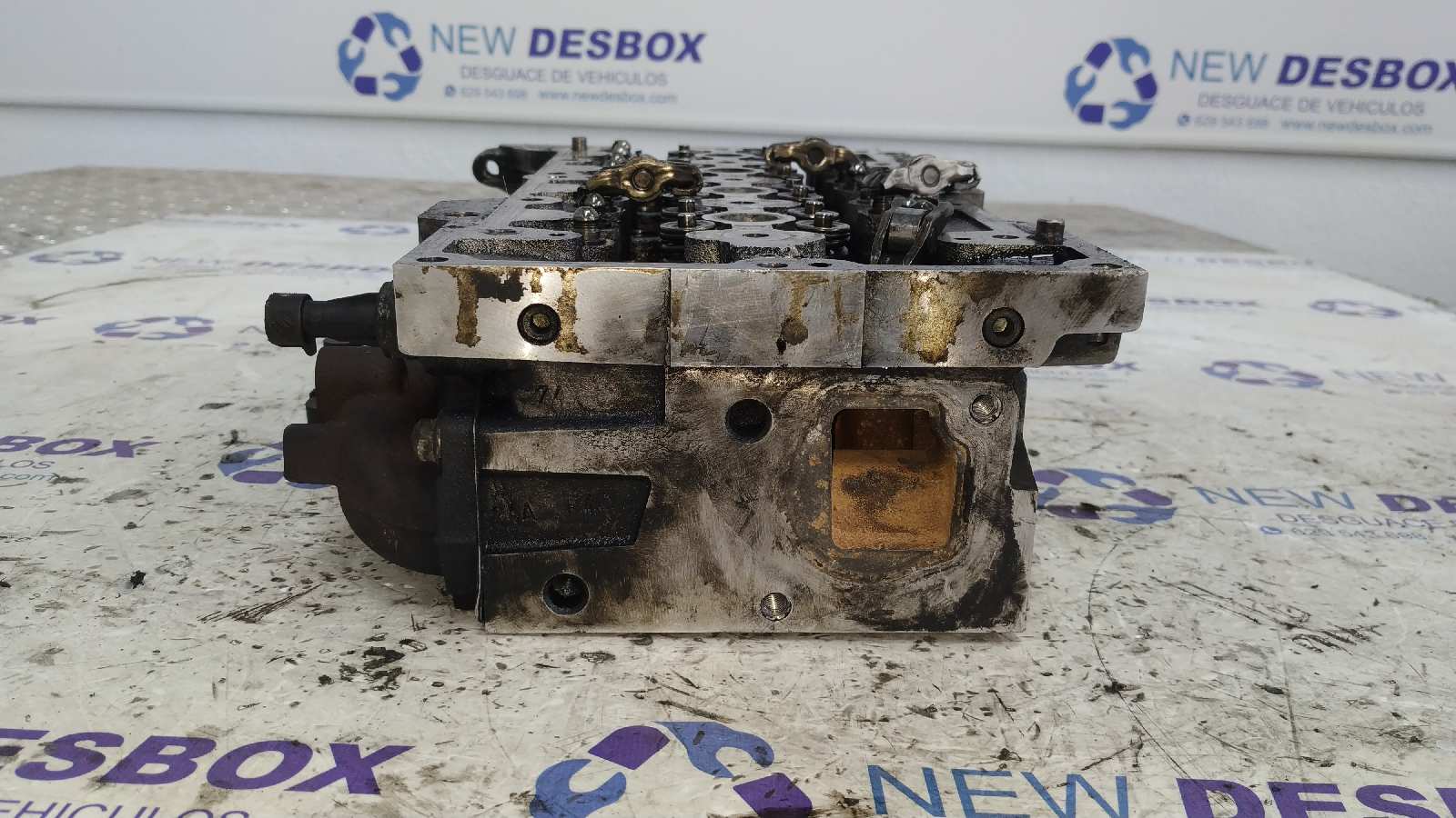 CULATA FIAT PANDA (169) - vista 2