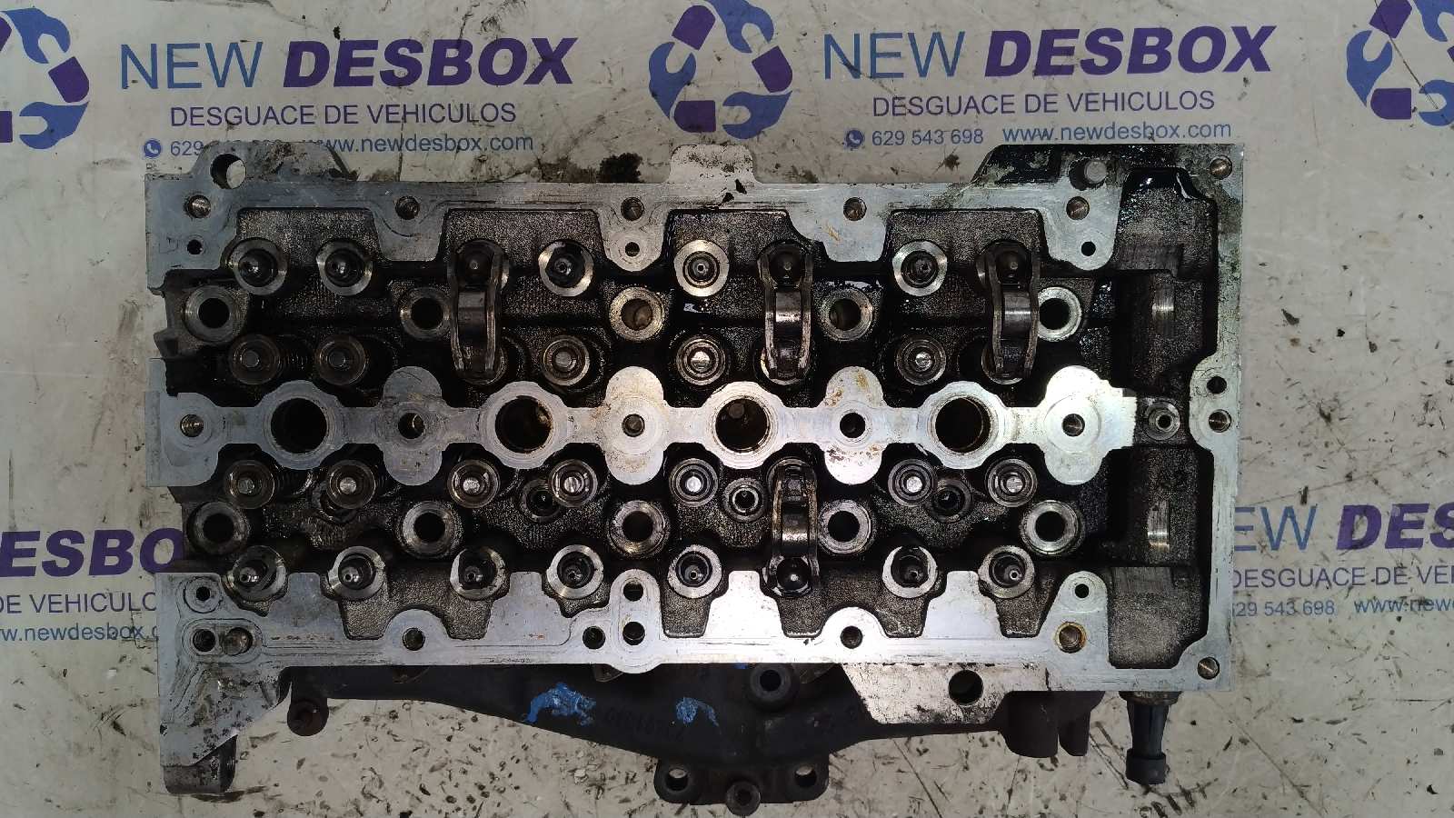 CULATA FIAT PANDA (169) - vista 11