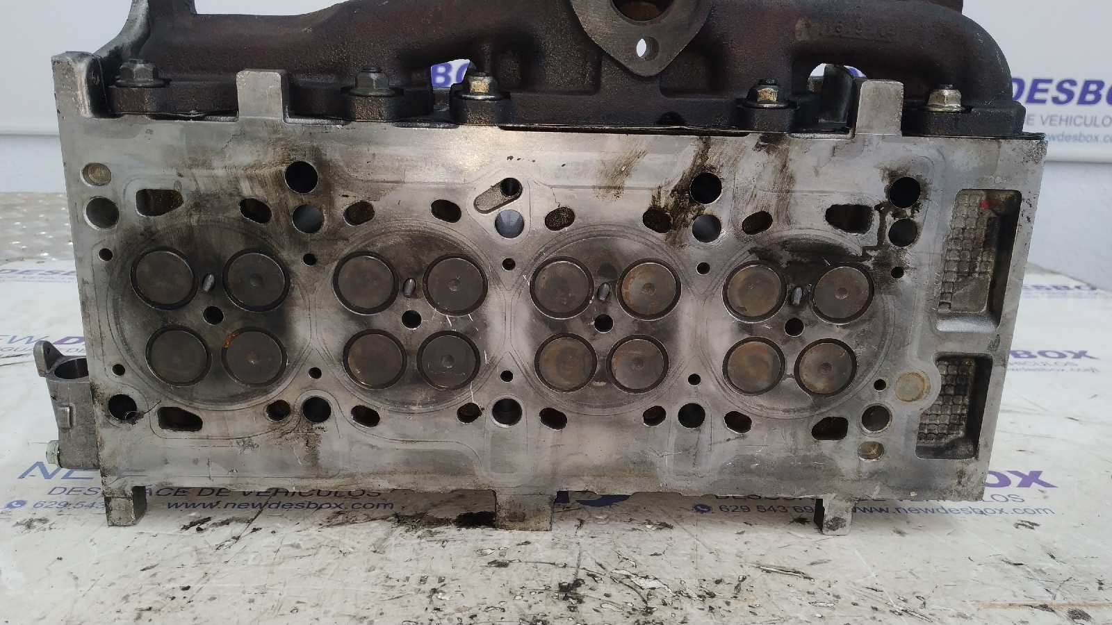 CULATA FIAT PANDA (169) - vista 3