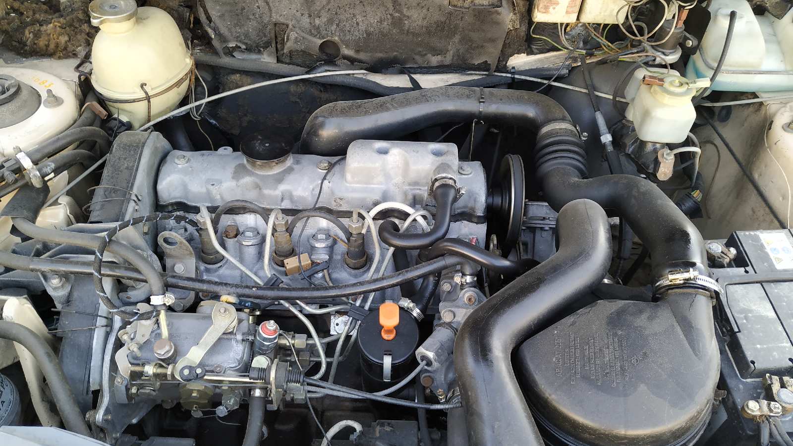 Vista 3