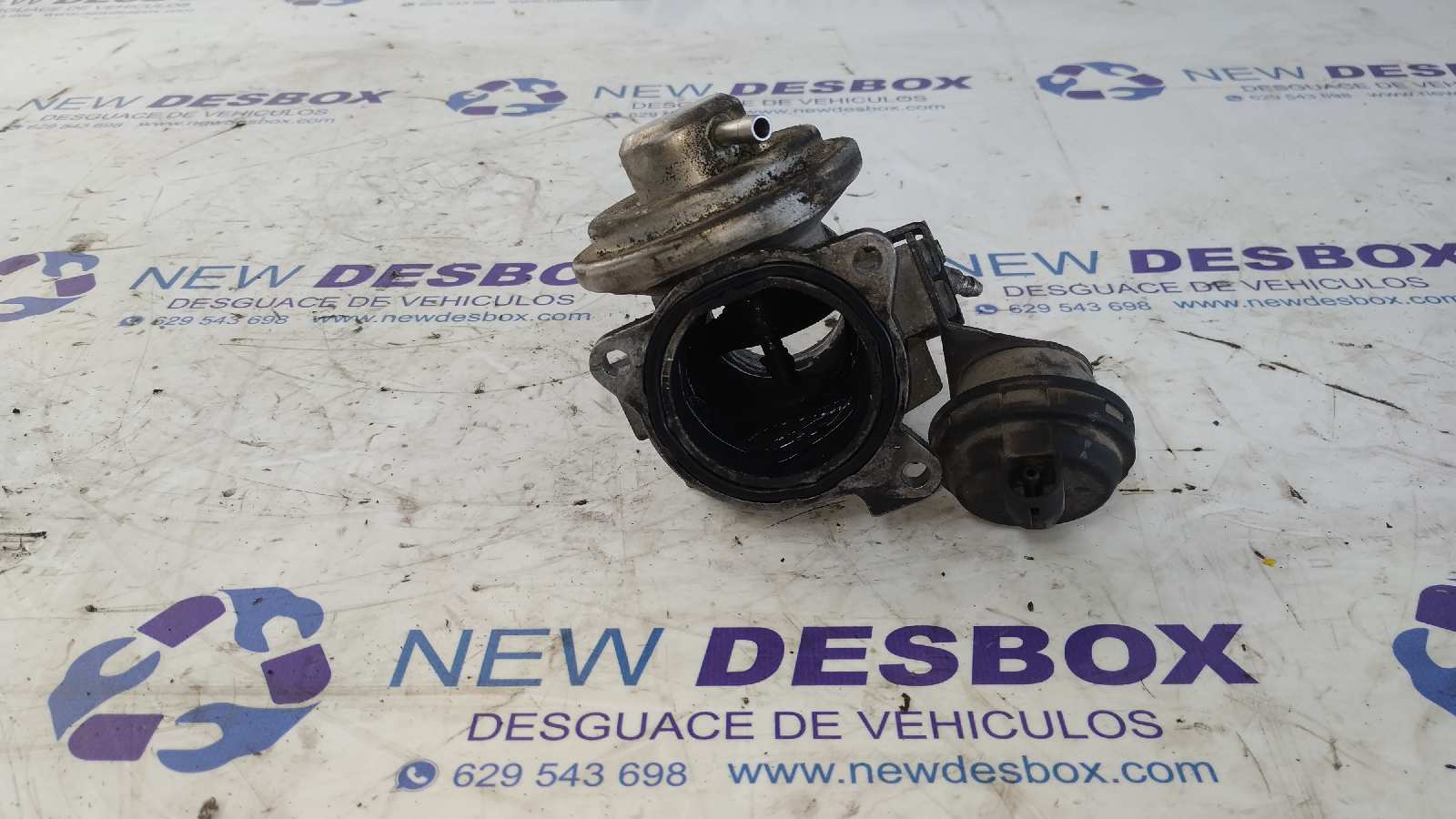 VALVULA EGR SEAT IBIZA (6L1) - vista 5