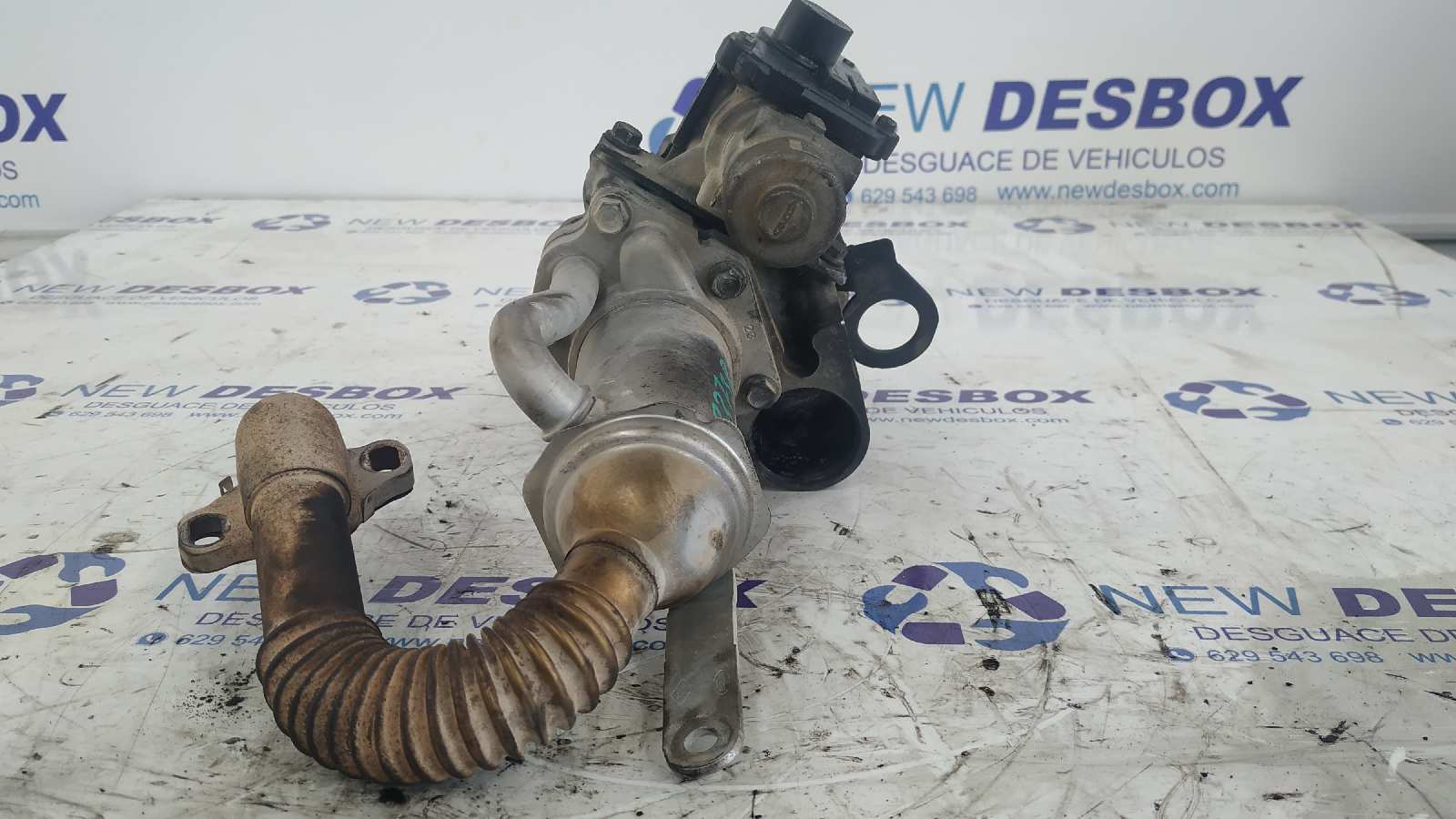 VALVULA EGR RENAULT KANGOO (F/KC0) - vista 2